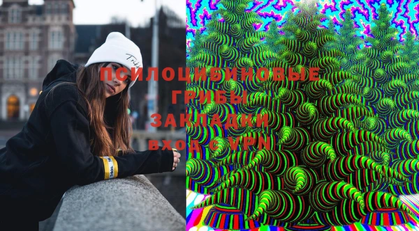 МДМА Новодвинск