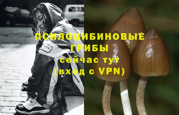 кристаллы Новокубанск