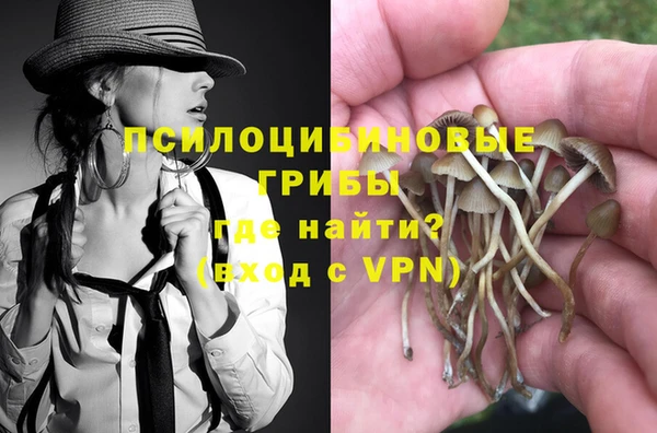 экстази Новозыбков